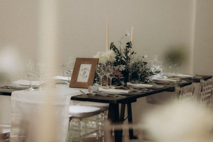 Matrimonio tema ulivi 11