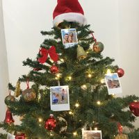 Avete mai fatto l'albero insieme? - 1