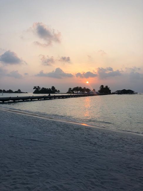 Luna di Miele Emirati Arabi/Maldive - 1