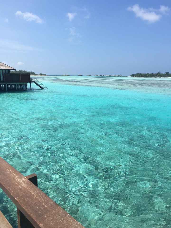 Luna di Miele Emirati Arabi/Maldive 2