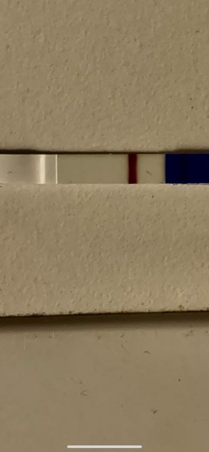 Chi non le aspetta per novembre 2023 🌰🍂🤎 - 1