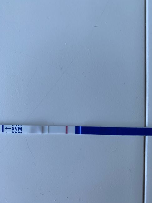 Chi non le aspetta per novembre 2023 🌰🍂🤎 - 1