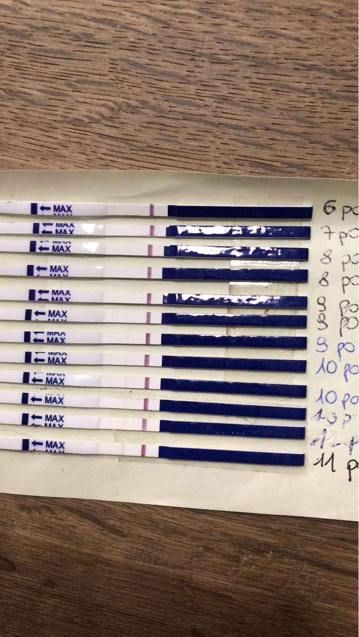 Chi non le aspetta per marzo 2022 🌸🌸🌸🌸 - 1