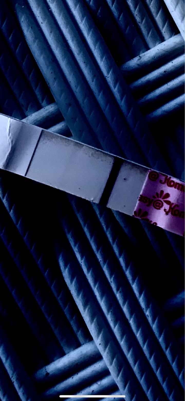 Chi non le aspetta per ottobre 2023🍂🍁 - 1