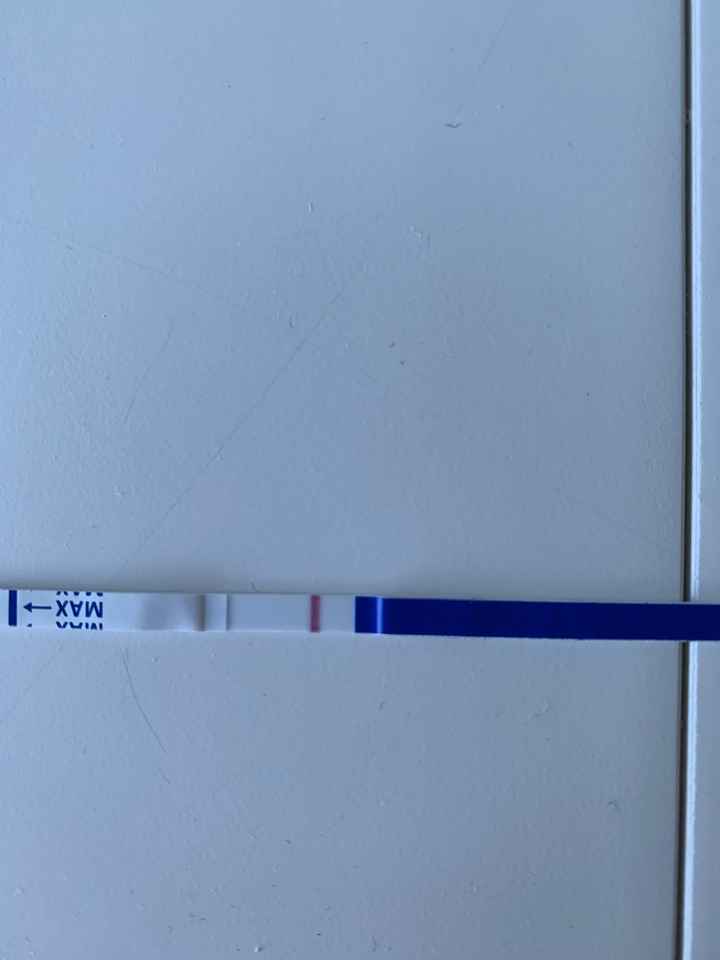 Chi non le aspetta per novembre 2023 🌰🍂🤎 - 2