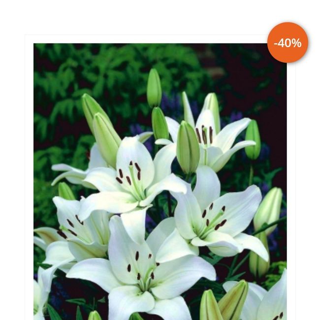 Bisognosa di consigli 5