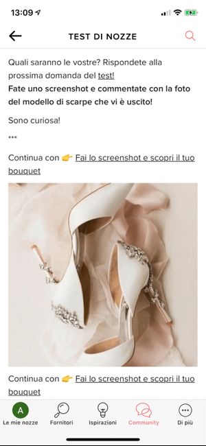 Fai lo screenshot e scopri le tue scarpe - 1