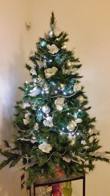 Il vostro albero di Natale! - 1