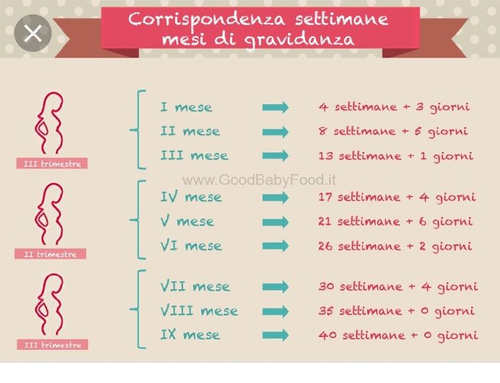Future mamme di novembre 3