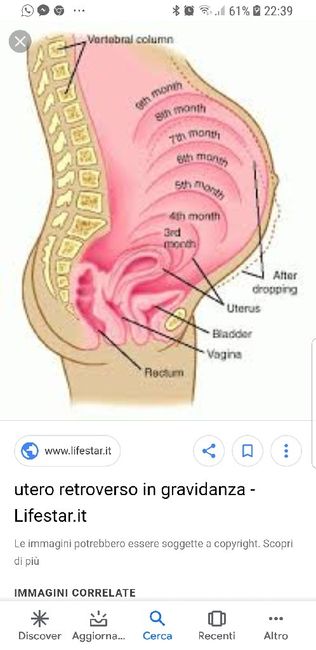 Future mamme "dicembrine" 2019 💙💗 - 1