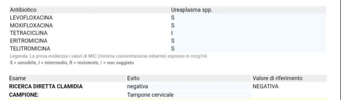 Ureaplasma urealyticum 1