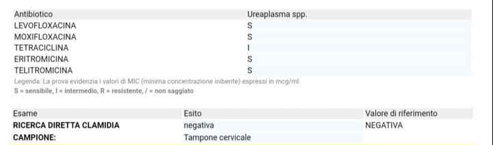 Ureaplasma urealyticum - 1