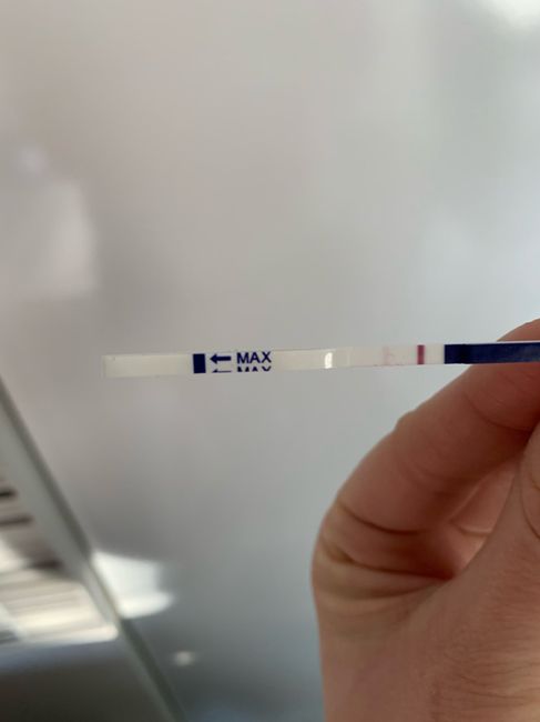 ❤🧡💛💚💙💜 pma 2020, siamo cariche? 💪🏻 - 1