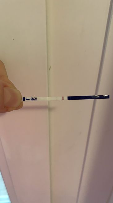 ❤🧡💛💚💙💜 pma 2020, siamo cariche? 💪🏻 - 2