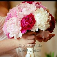 Il club della sposa classica - 1