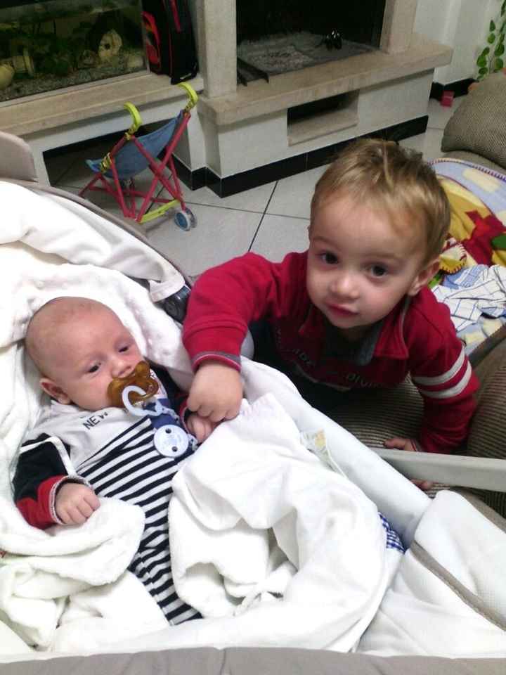 Fuori le panze!!! - 2