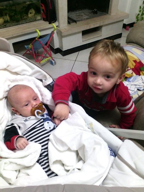 Fuori le panze!!! - 2