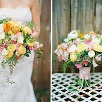 Fiori: e mo' basta!!!!! - 1