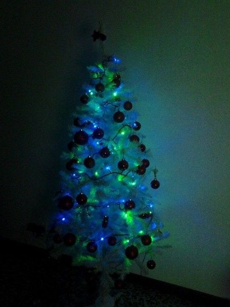 ecco a voi l'albero