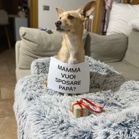 La mia proposta di matrimonio è stata... - 1