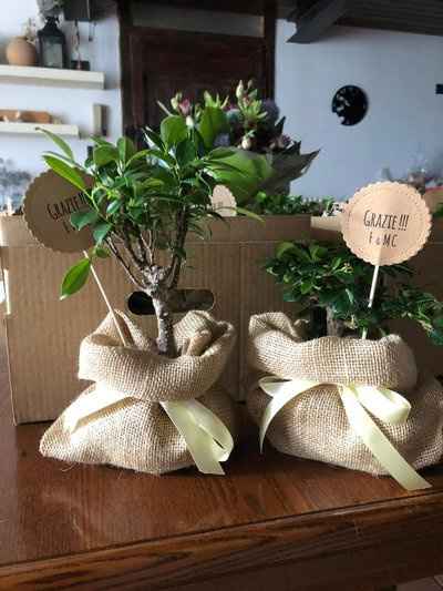 Bomboniere economiche - Bosco - 1