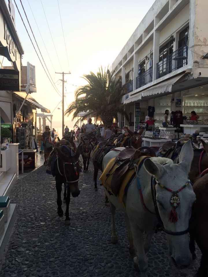 Viaggio di nozze grecia - 3