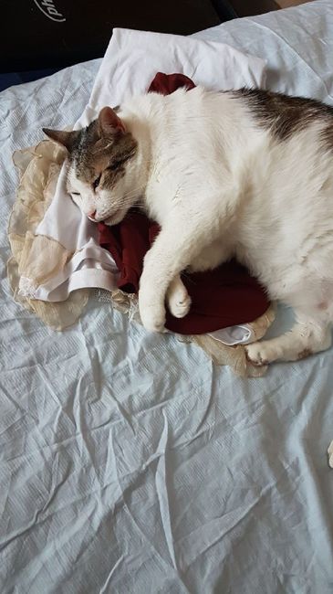 Consiglio ☺☺☺ - 2