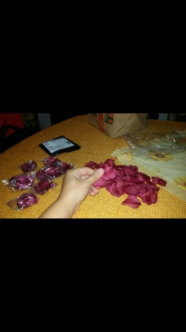 Sì inizia sul serio ... - 2