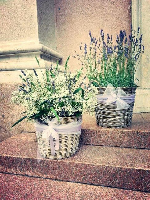 Help tema e fiori - 1