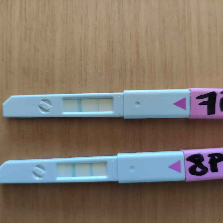 Test ovulazione creare Blue rosa - 1