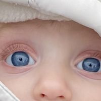 Occhi blu neonato : come diventeranno? - 2