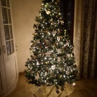 Il nostro primo Natale insieme 😍😍😍😍 - 1