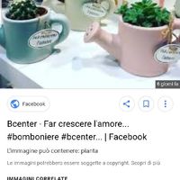 Piantine come bomboniere - 1