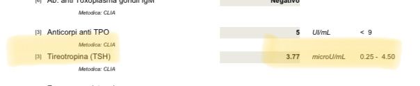 Test rosolia e tiroide 1
