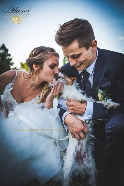 Cani: si o no al matrimonio? 1