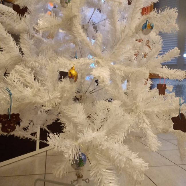 Avete mai fatto l'albero insieme? - 3