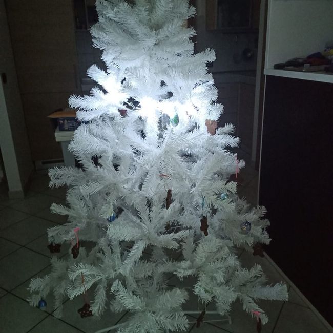 Avete mai fatto l'albero insieme? 4