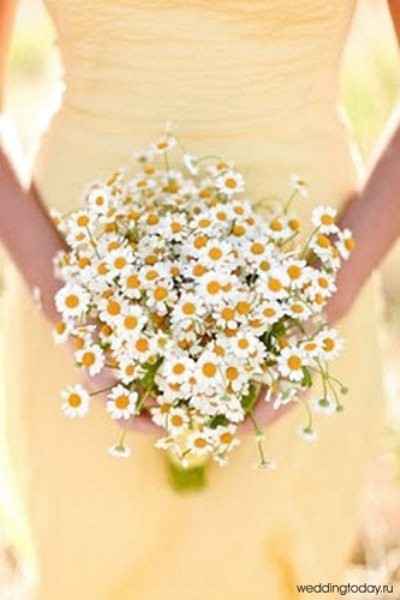 bouquet di margherite