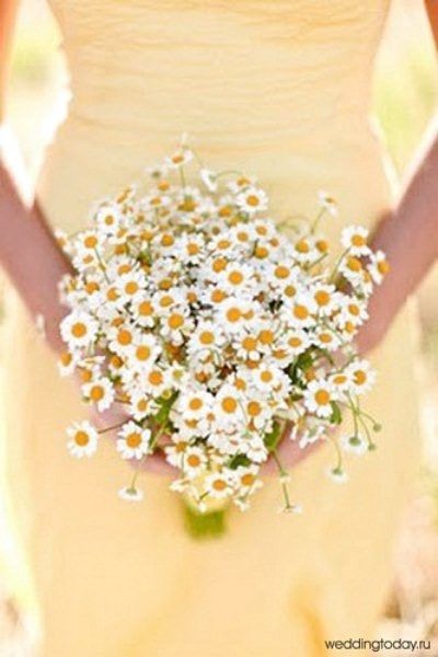 bouquet di margherite