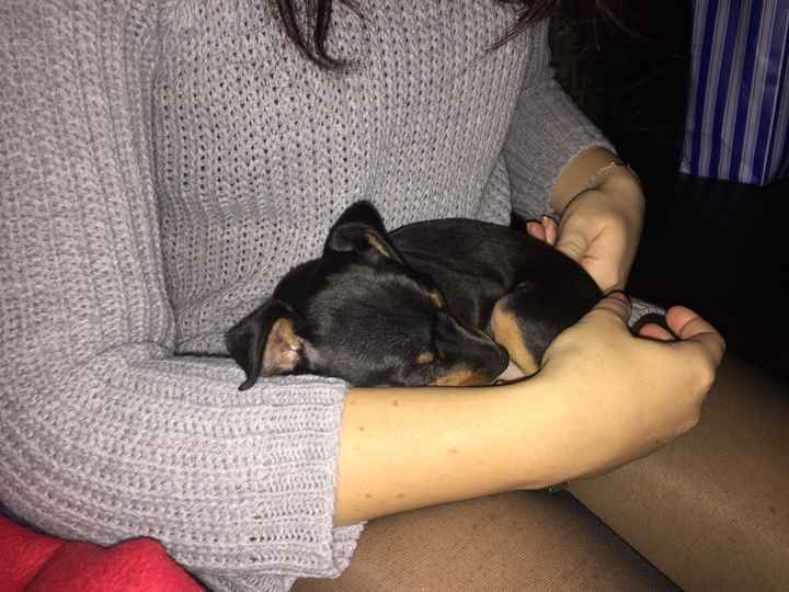 E ci sposeremo in 4 - 1