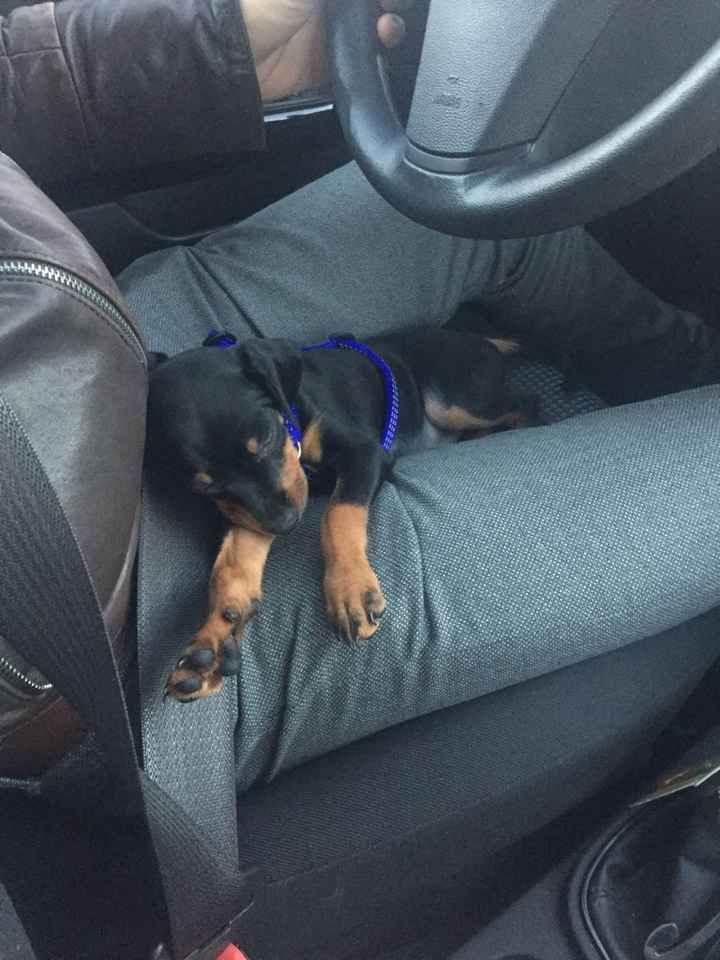 E ci sposeremo in 4 - 2