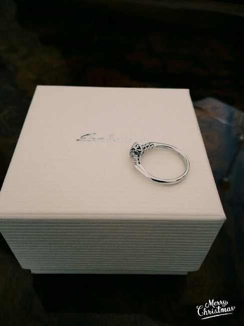 La vostra proposta? - 3