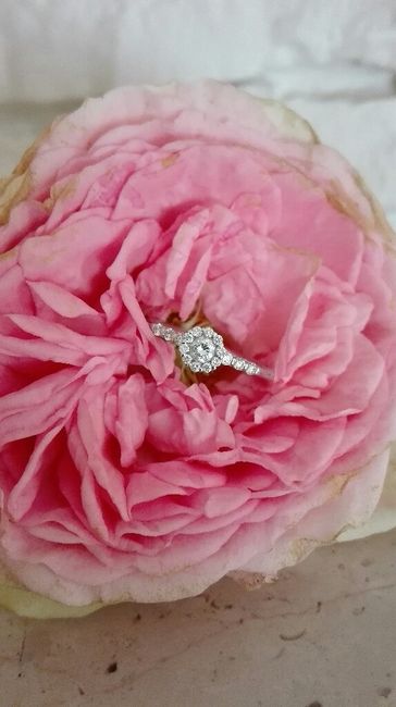 Ma è vero che un diamante è per sempre? - 1