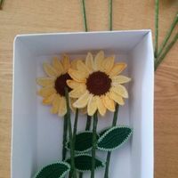 Tema natura..nomi tavoli? - 1