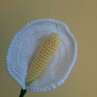 Tema natura..nomi tavoli? - 2