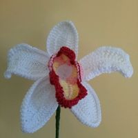 Tema natura..nomi tavoli? - 3