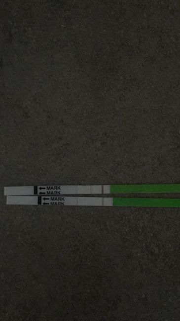 Aiutatemi a capire, ovulazione e stik al 7 po - 1
