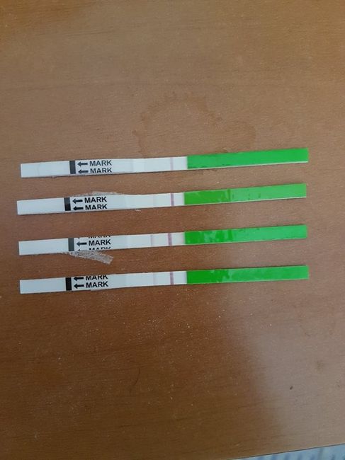 Test ovulazione vs test gravidanza 4