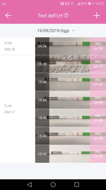 Stik ovulazione positivo? - 1