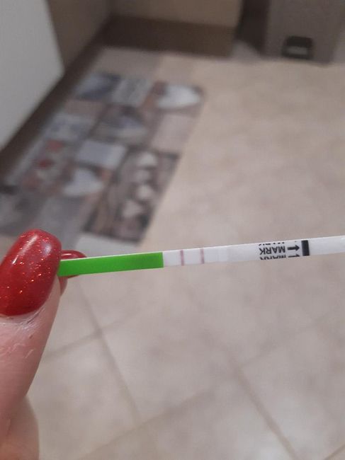 Mi aiutate? :d stik e test... - 1